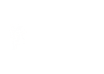 tassieboysprospecting